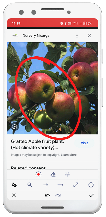iOS and Android app for webpage capture